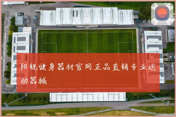 阳锐健身器材官网正品直销专业运动器械