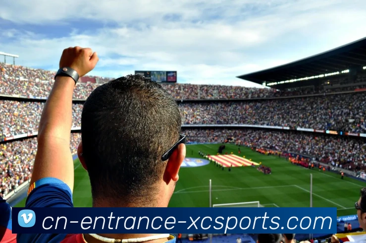 杏彩体育平台生态图