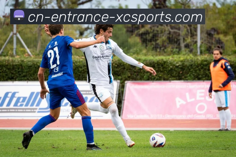 杏彩体育APP 封面图